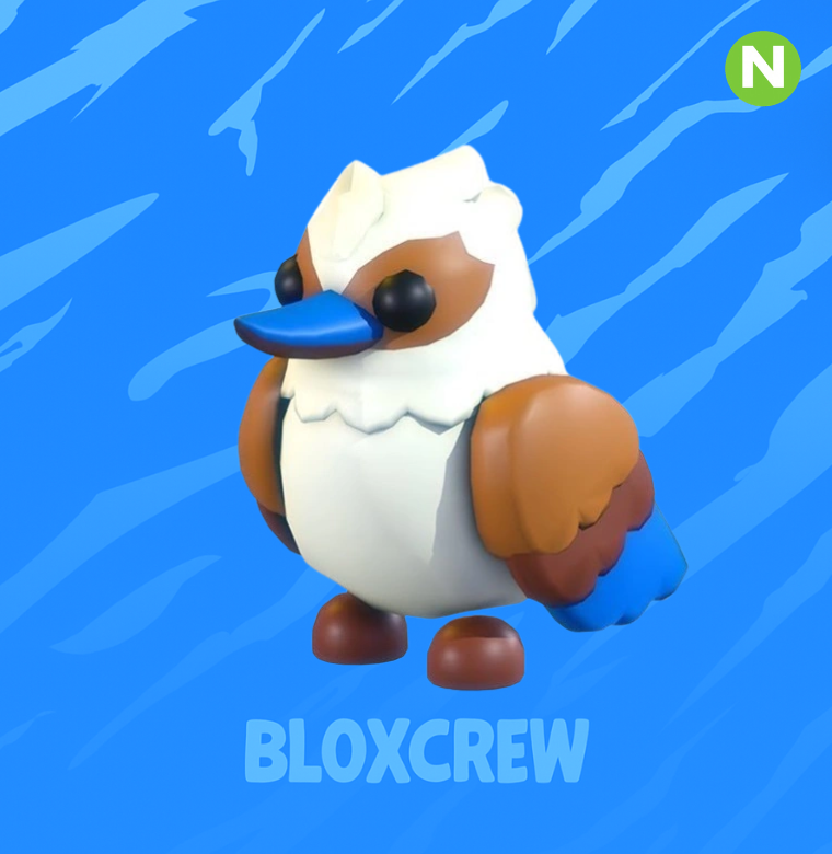 Neon Kookaburra
