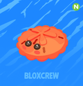 Neon Red Sand Dollar