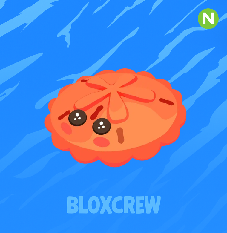 Neon Red Sand Dollar