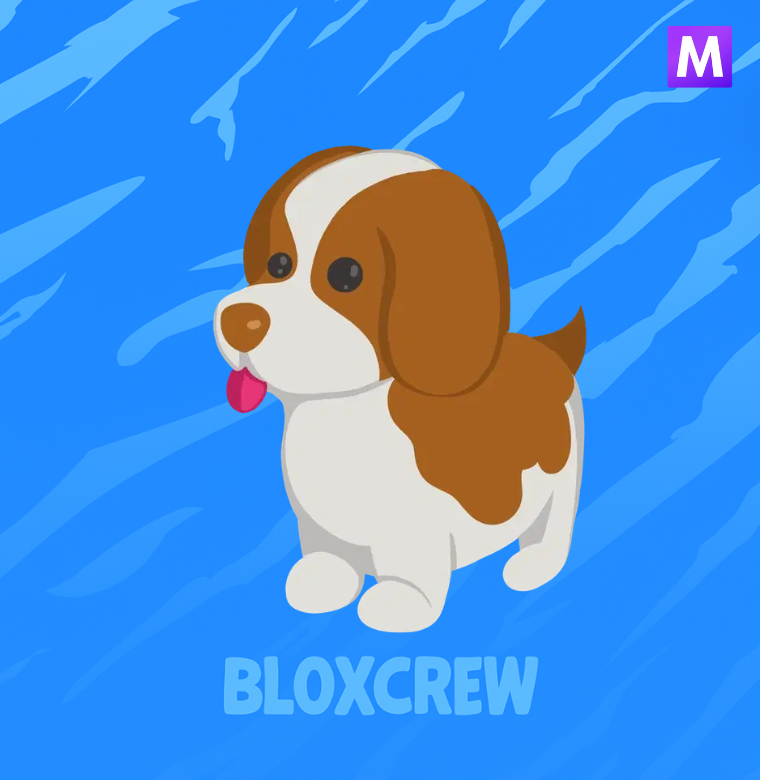 Mega Brown Springer Spaniel