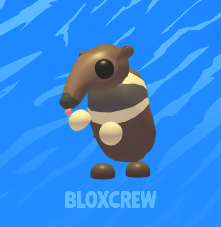 Anteater
