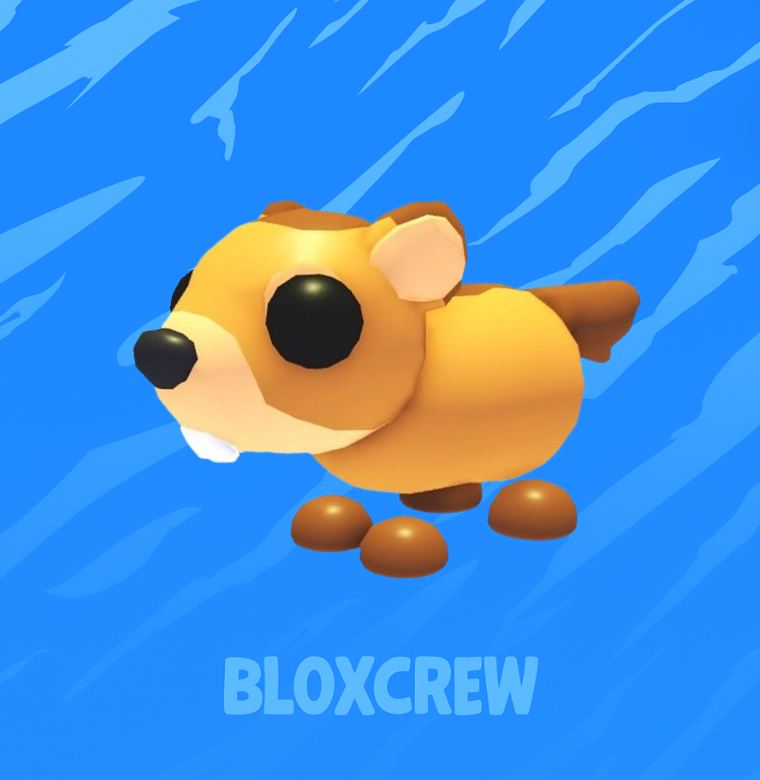 Groundhog