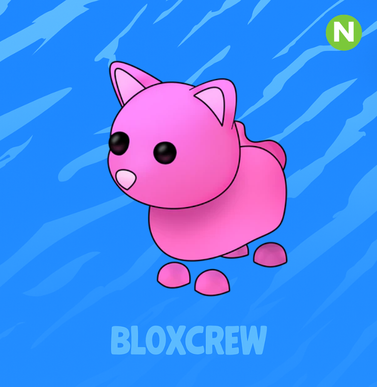 Neon Pink Cat
