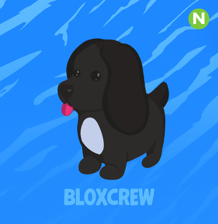 Neon Royal Palace Spaniel