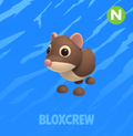 Neon Shrew
