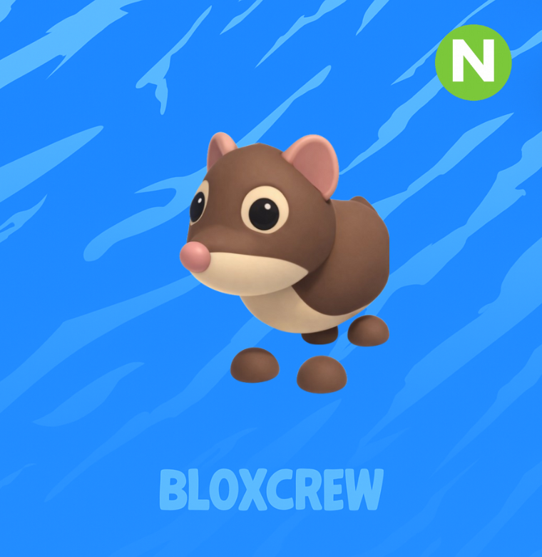 Neon Shrew