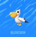 Pelican