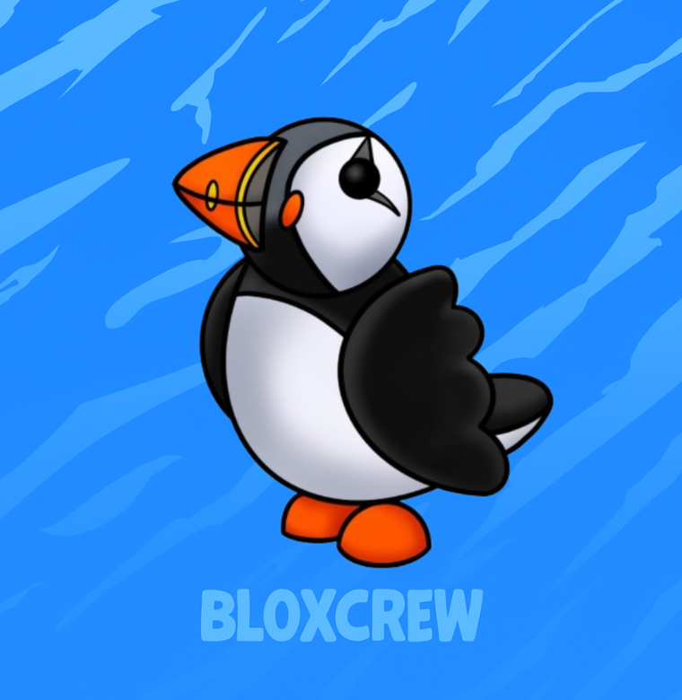 Puffin