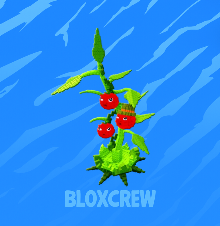 Tomatrio