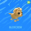 Neon Lion Cub