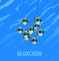 Many Mackeral