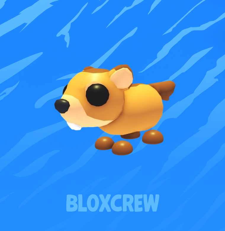Ground Hog