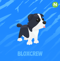 Neon Border Collie