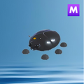 Giant Black Scarab