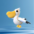 Pelican