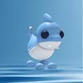 Shark Puppy