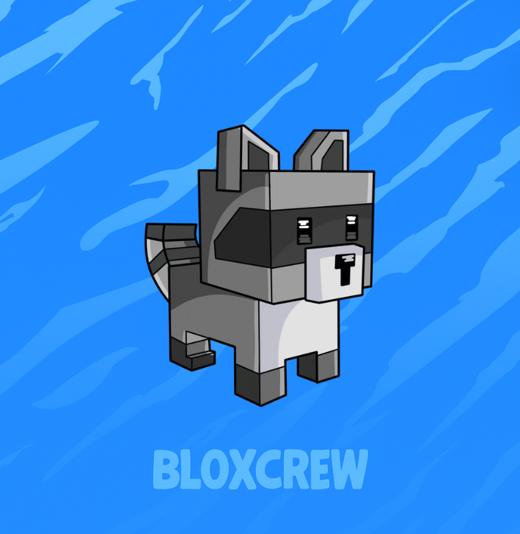 Raccoon