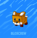 Huge Red Fox - 14.43 Age 25