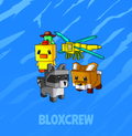 Exotic Bundle