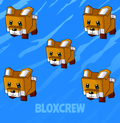 5x Red Fox Bundle