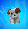 Age 80 - Dog
