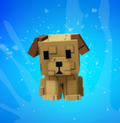 Age 79 - Golden Lab
